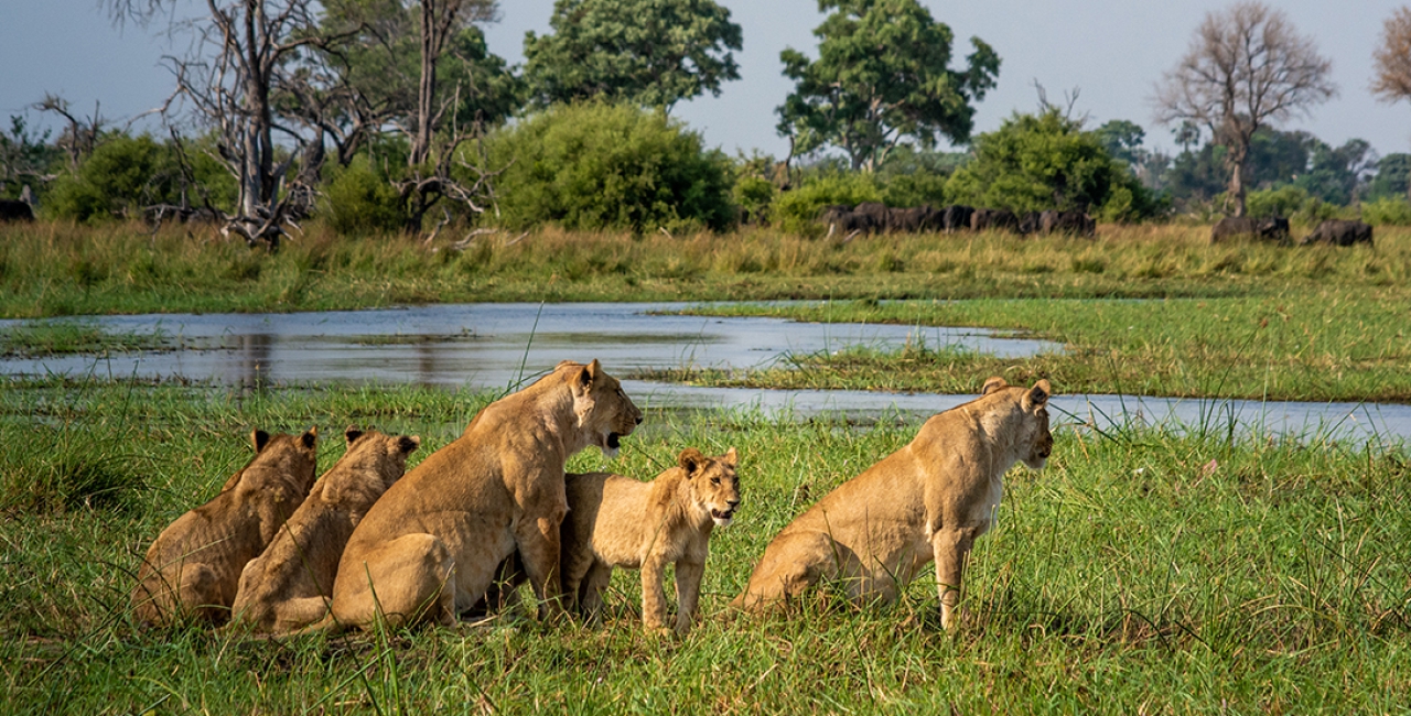Okavango Delta, 2 Nights 3 Days